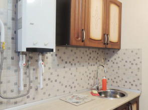 Апартаменты на проспекте Красной Армии 197/2