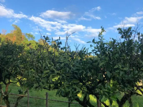 Гостевой Дом Дендропарк