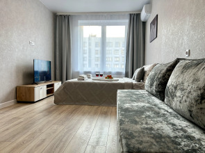 Апартаменты FSF Премиальная Однушка Мега