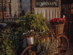 Апартаменты Делюкс Elite Apartments