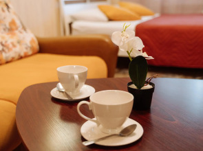 Апартаменты 9 ночей на Чкалова 48