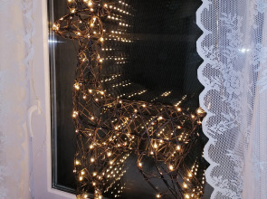 Частный дом в Карелии