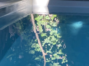 Гостевой Дом Белка