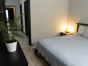 Квартира двухкомнатная в Доме с видом на Лавру