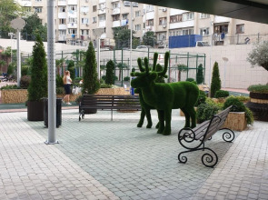 Апартаменты Сочипосуточно