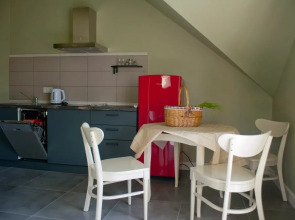 Апартаменты Plantage 1 на Пионерской