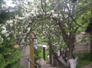 Гостевой дом Бугрово