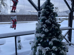 Гостевой Дом Кипарис