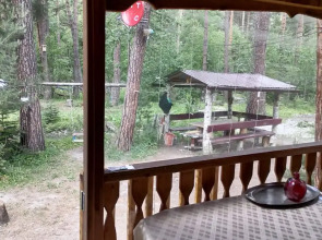 Шале Лес хрустальной песни 1