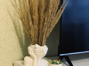 Квартира Просторная однокомнатная квартира для Вашего отдыха