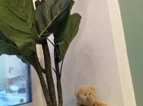 Квартира на Марата 14