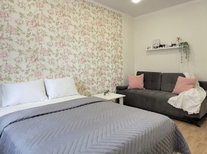 Апартаменты Луга Голландии