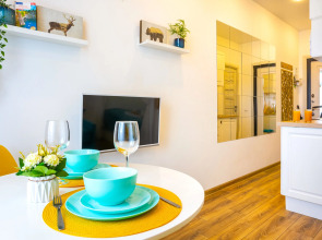 Апартаменты Welcome Karelia  Riverside в Центре 1