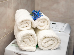 Квартира в Центре Сочи