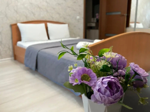 Апартаменты Светлая и уютная квартира в тихом центре города