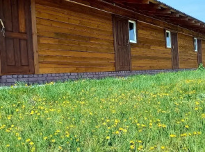 Гостевой дом Ромашка