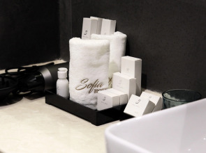 Отель Sofia International