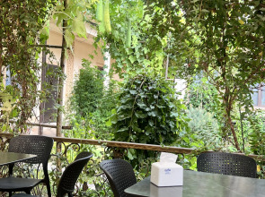 Отель Zahid Inn