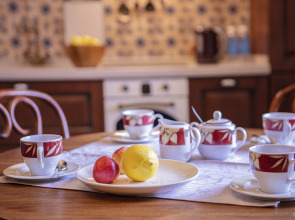 Видовые апартаменты рядом со Спасом на Крови