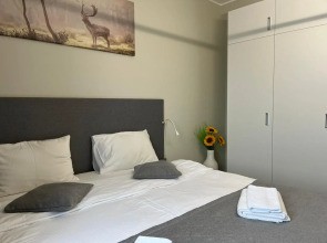 Апартаменты в Московском Районе Метро Купчино