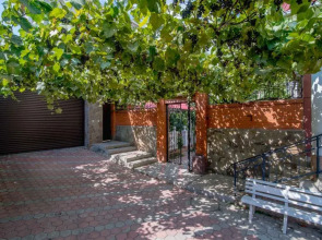 Отель Витекс