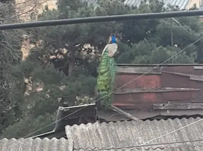 Гостевой Дом Id House