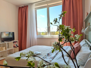 Апартаменты Видовая Студия Покровские