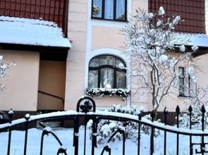 Апартаменты Вилла Амалиенау