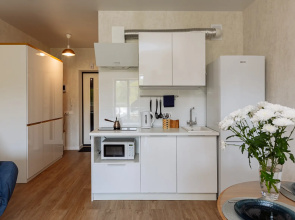 Апартаменты Malkova Apartments на Кленовой