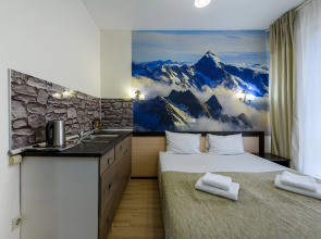 Апартаменты Оплот - С балконом 9