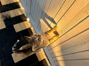 Отель 12 причал