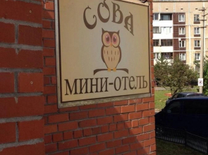 Хостел Сова