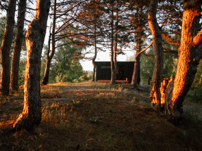 Глэмпинг Викингуд