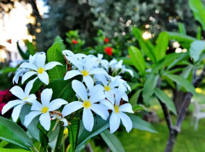 Отель The Ship Inn