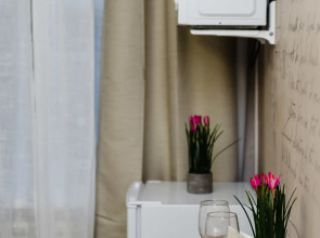 Апартаменты Автозаводская 19к1 (221)