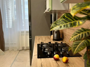 Квартира DаiIyRent-NN Апартаменты в Нижнем Новгороде