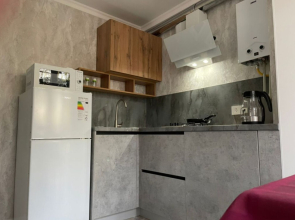 Квартира 1 Комнатная на Губина