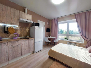 Апартаменты Flamingo Studio