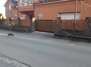 Nad Rekoj Guest House