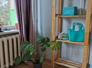 Апартаменты художника у леса