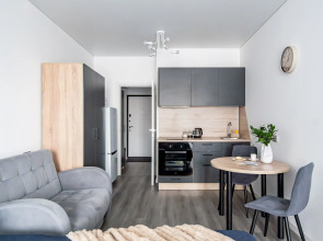 Квартира Merino Home Grey