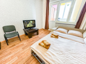 Uyutnaya Kvartira Vozle Sheremetyevo Apartments