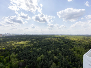 Квартира Студия на 30-ом Этаже с Видом на Лес