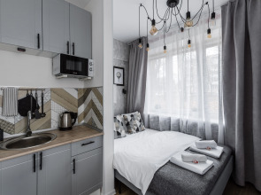 Апартаменты Стильные Loft Flats&Rooms Vnukovo