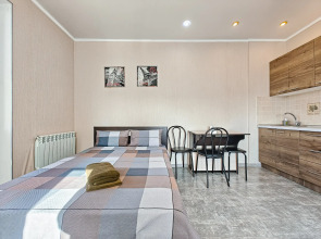 Апартаменты на Фрунзе 49/1