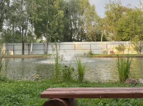 Частный Дом Уютный Домик в Лесу у Пруда