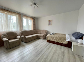 Апартаменты Лес и Шишки