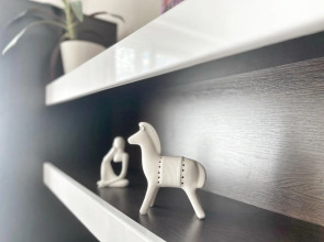 Квартира Елена Озерки