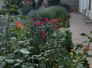 Гостевой Дом Роза Ветров