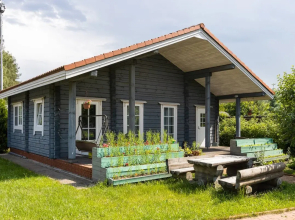 Zagorodny V Finskom Stile Private House